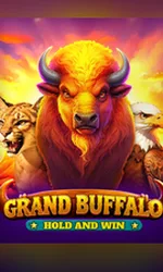 Buffalo Hold And Win