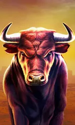Black Bull